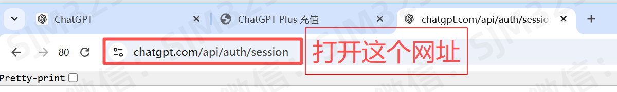 打开 Session 页面